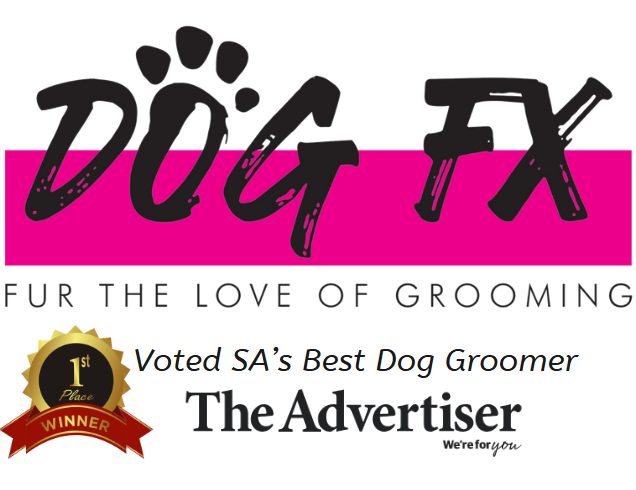 DOG+FX+Award+Logo