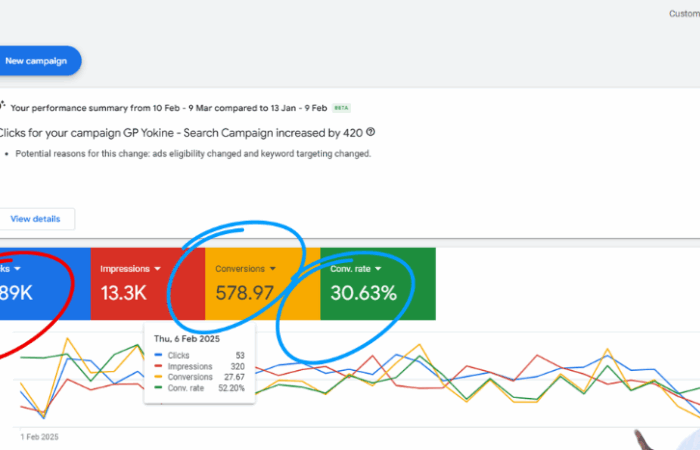 PPC consulting session